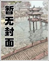 当星星坠落时封面